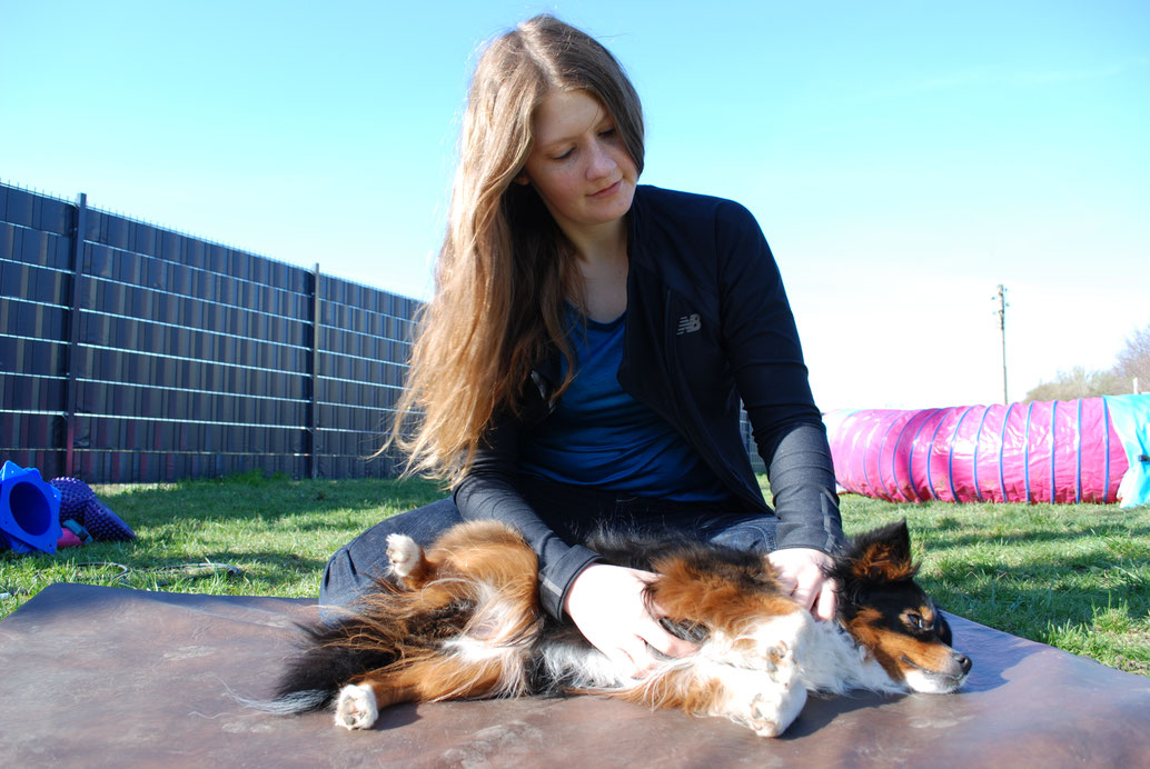 Tierphysiotherapie